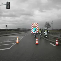 p2100005.jpg
