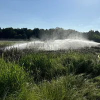 IMG_0730.JPEG
