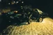 020319961gk.jpg