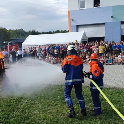 Bild